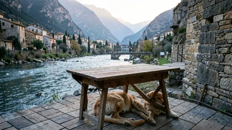 Terraza, mesa con perro